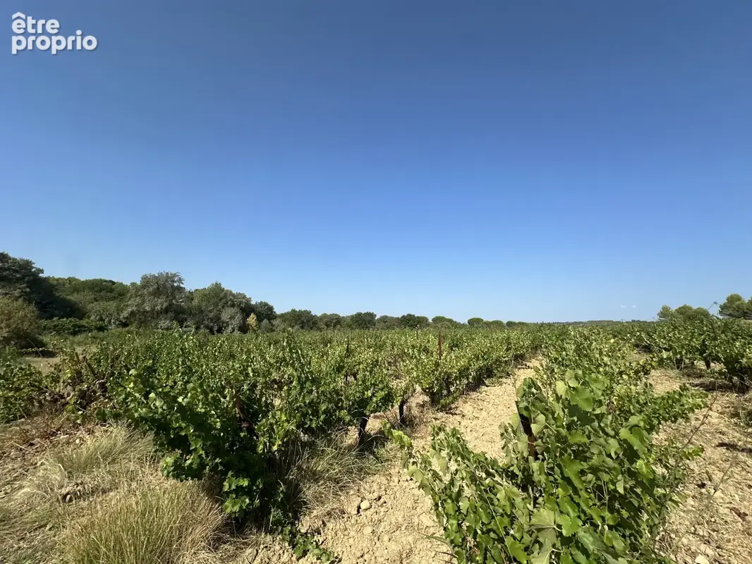 Vente terrain agricole 17310m2 souvignargues - photo 2