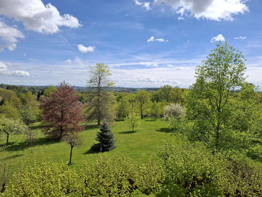 Propriété de 239 m2, sur 2,5 ha de terres et bois. - photo 15
