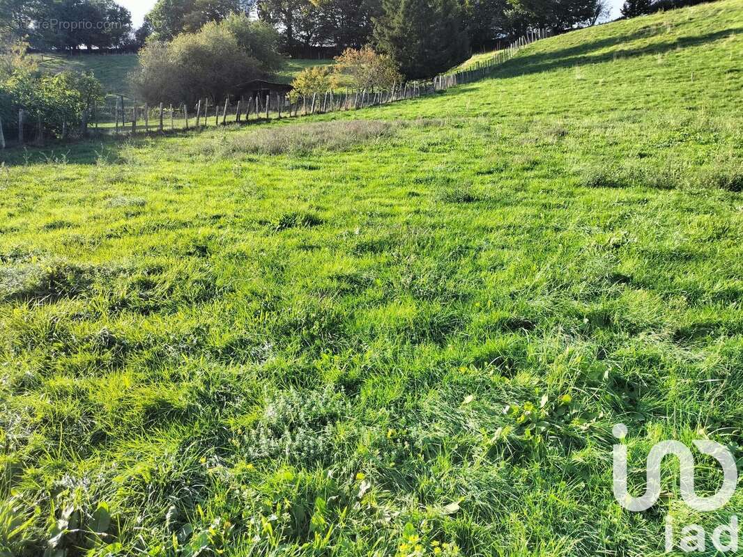 Photo 2 - Terrain à ARTAS