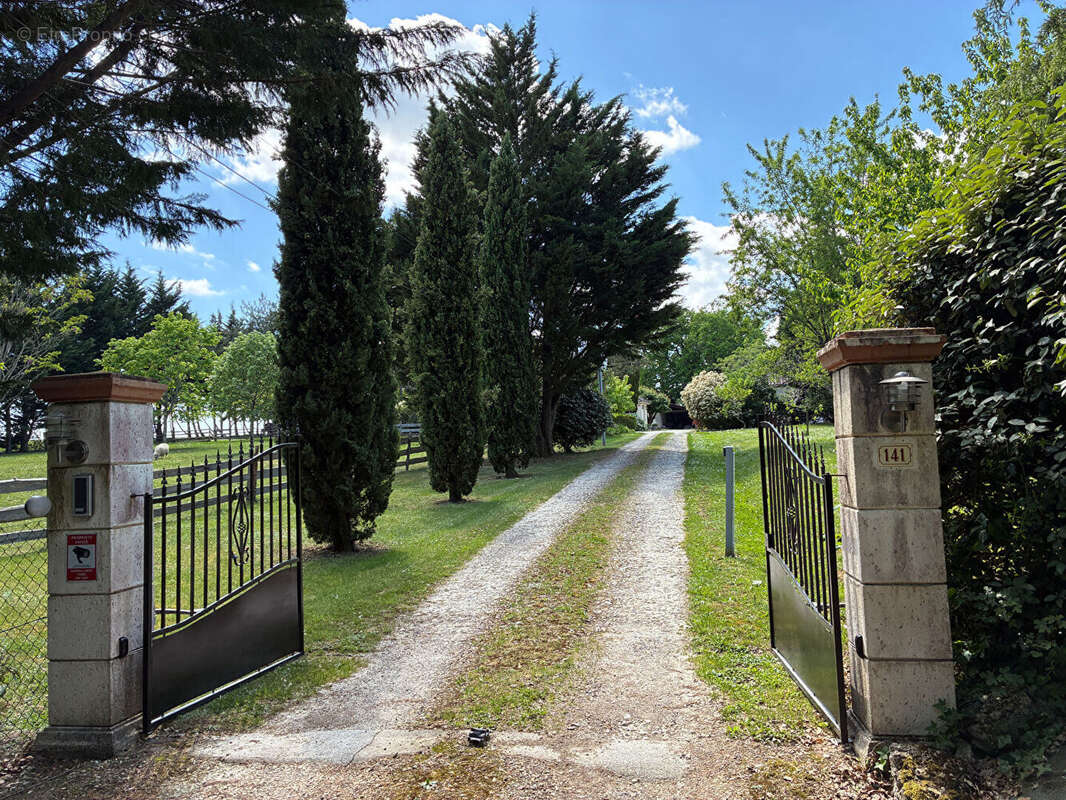 Propriété de charme avec maisons d'amis , granges et piscine - photo 7