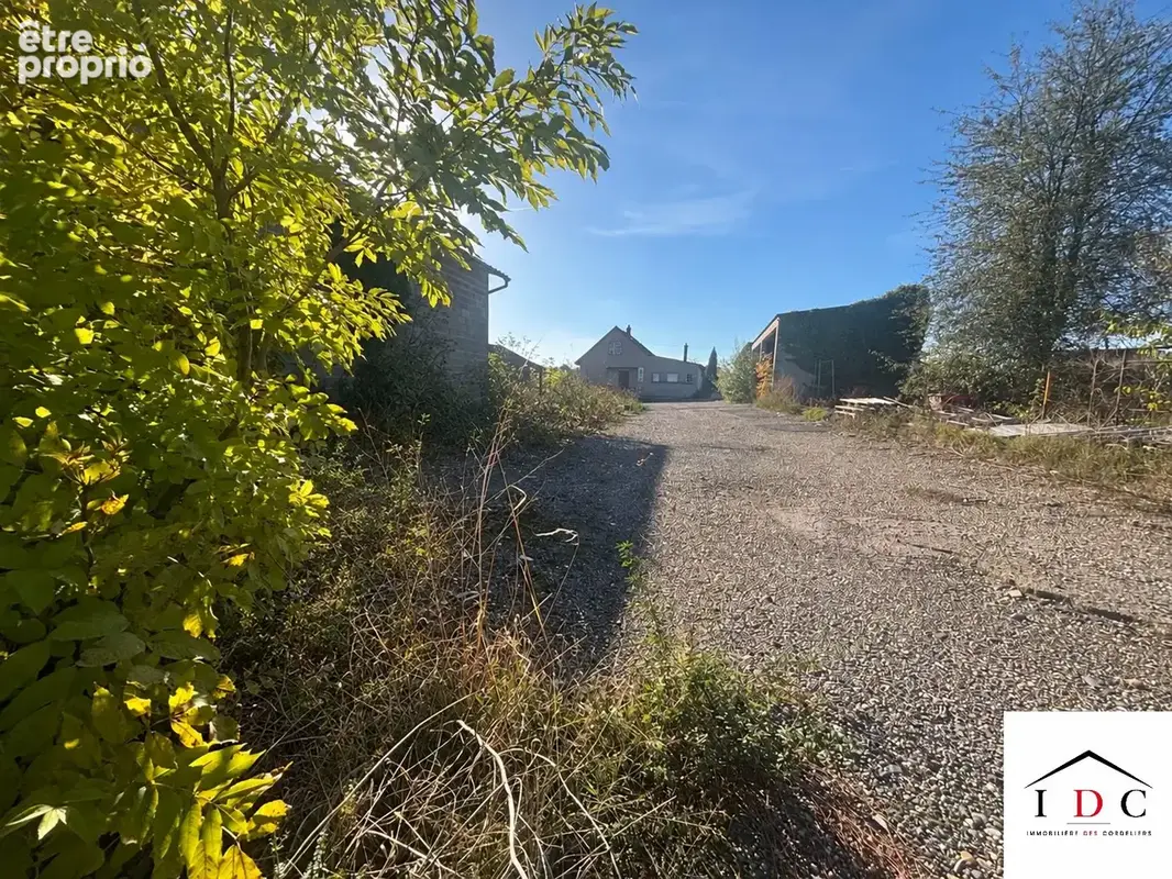 Maison 5 pièces 300 m² à vendre à Sarrebourg (57400) - photo 6