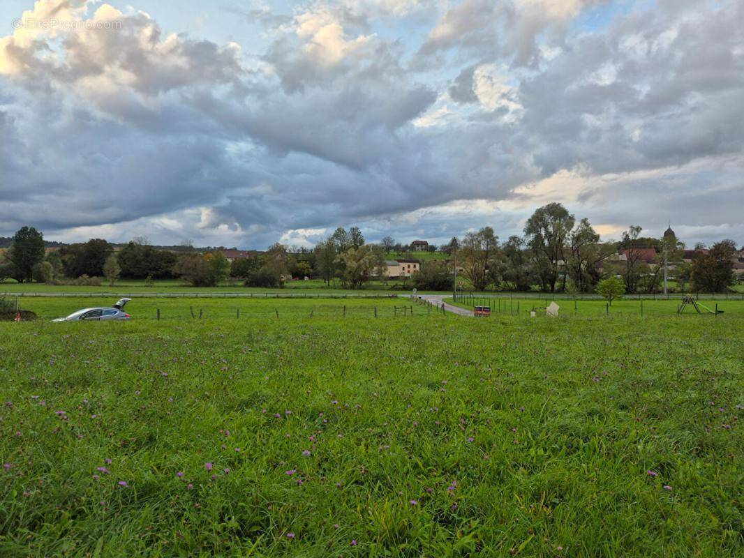 Terrain à ANCHENONCOURT-ET-CHAZEL
