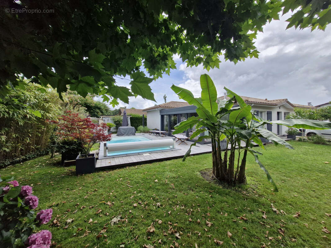 Maison à LE TEICH