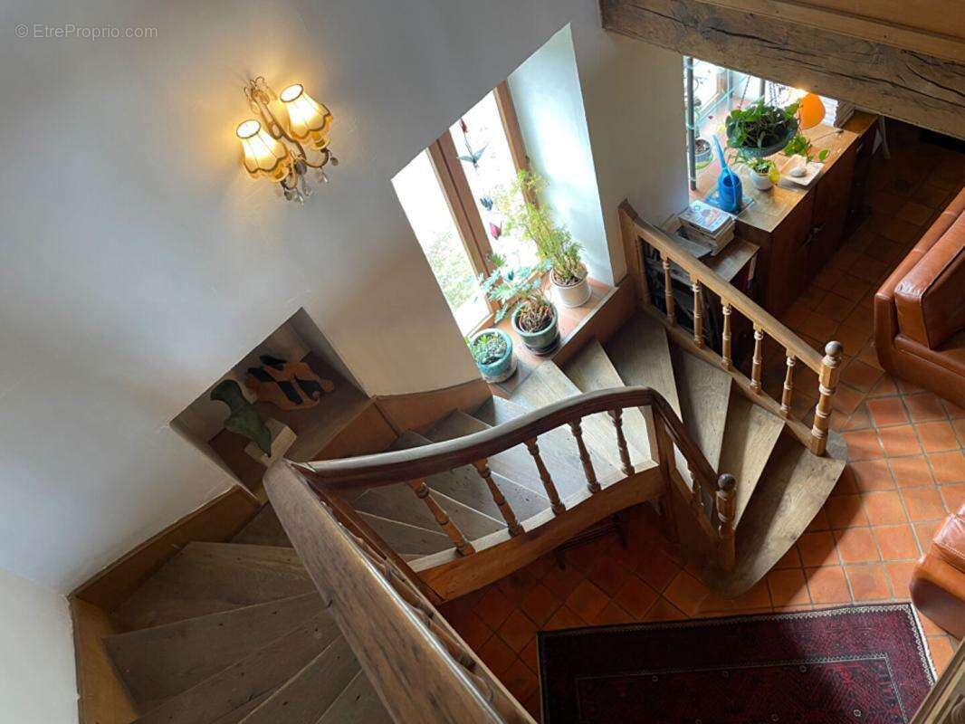 Maison Sainte Solange 7 pièce(s) 280 m2 sur terrain de  845 m² - photo 6