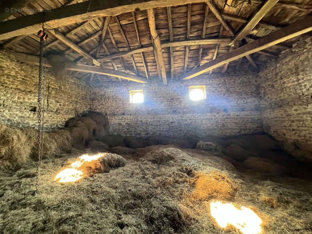 Photo 8 - Maison à CUBLIZE