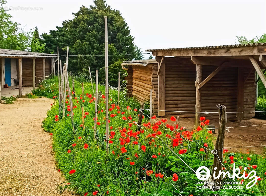 DOMAINE 7HA  avec  écurie privée - Toulouse SE - photo 2