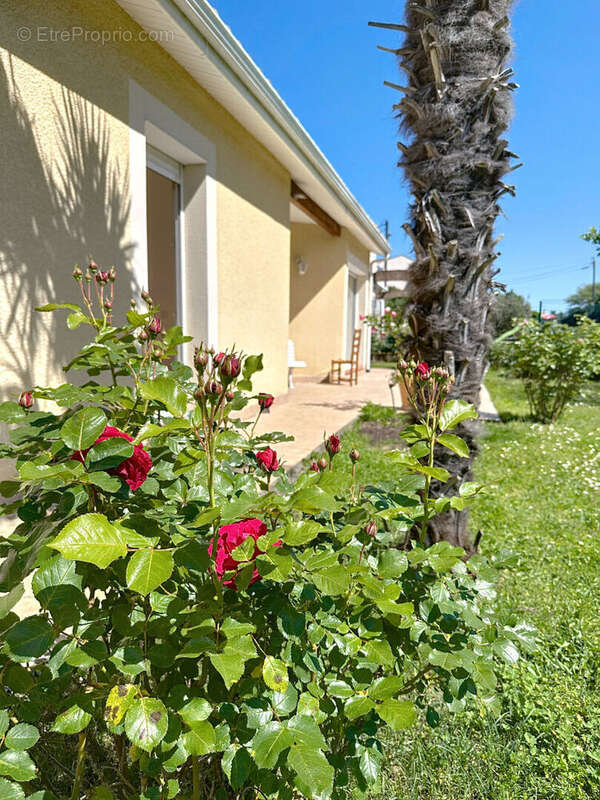 Maison à SAINT-ALBAN