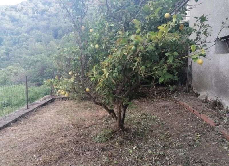 Appartement à SORIO