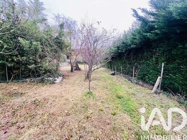 Photo 3 - Terrain à CARBONNE