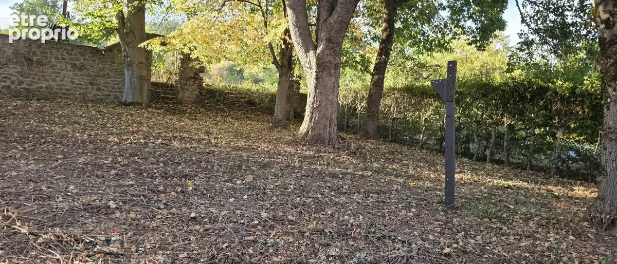 Saales, ancienne maison à rénover, avec dépendance et terrain à l'arrière, beaux espaces. - photo 22