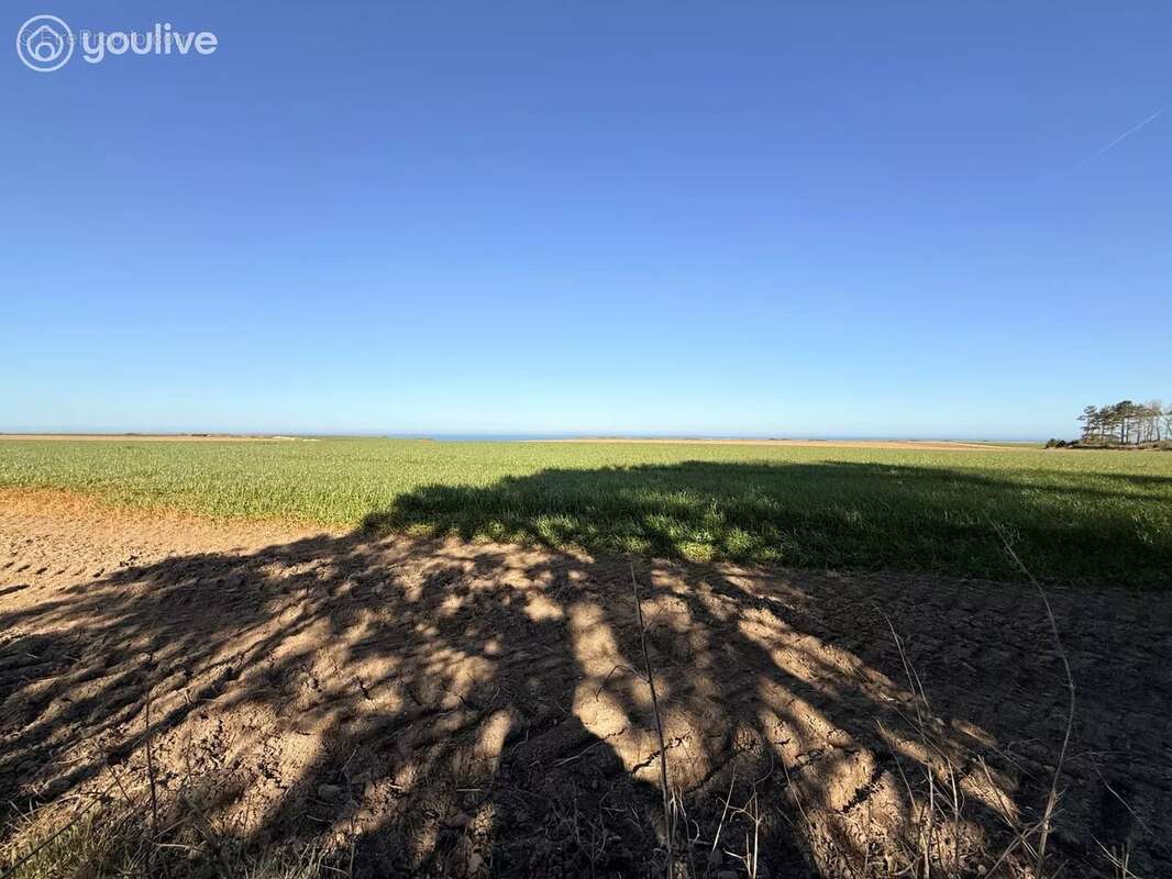 Maison à VEULETTES-SUR-MER