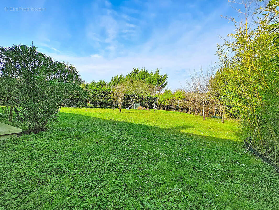 Maison à BLANQUEFORT