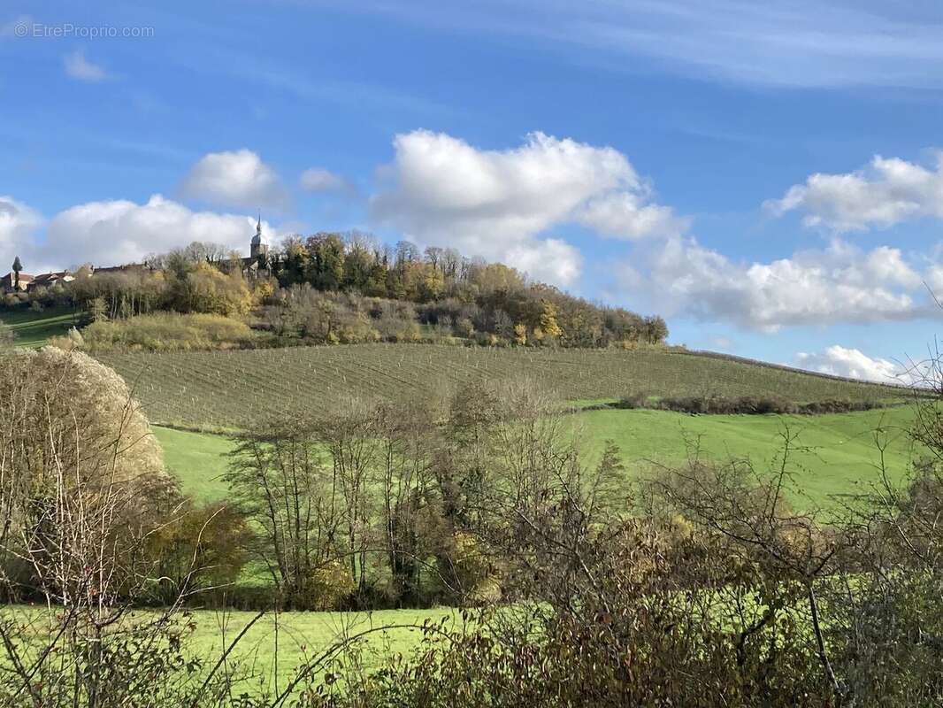 Maison à COIFFY-LE-HAUT