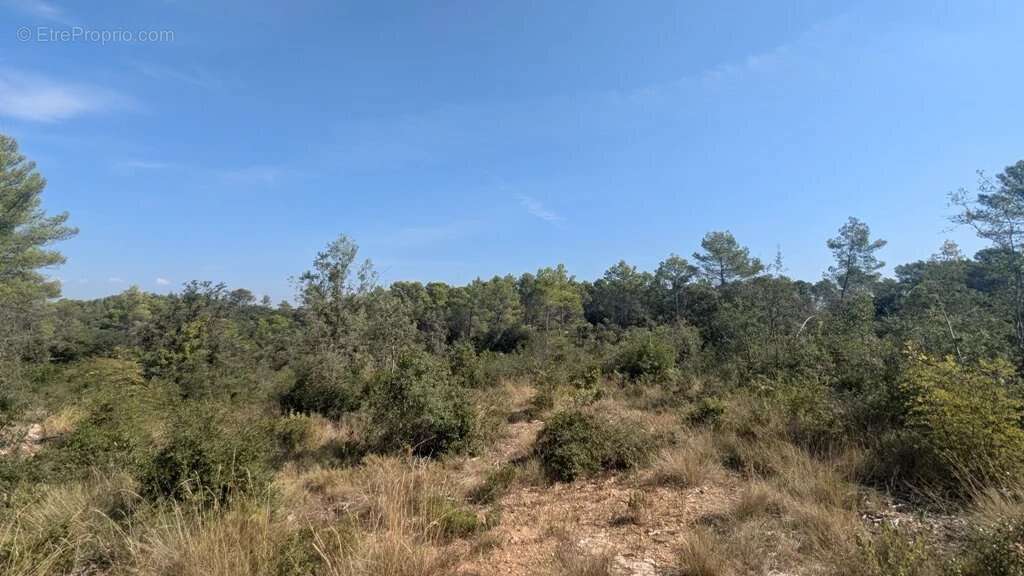 CARCES - Terrain 22.234m² en zone Naturelle - photo 14