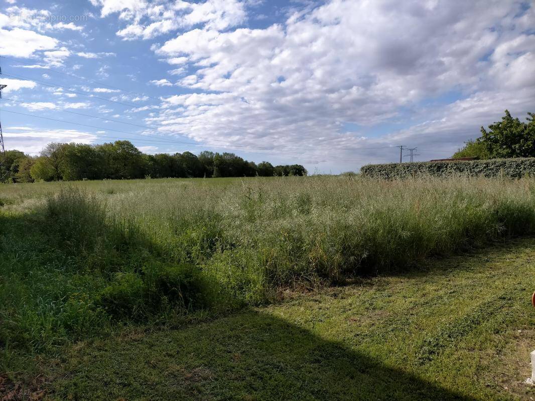 Terrain à ECHILLAIS