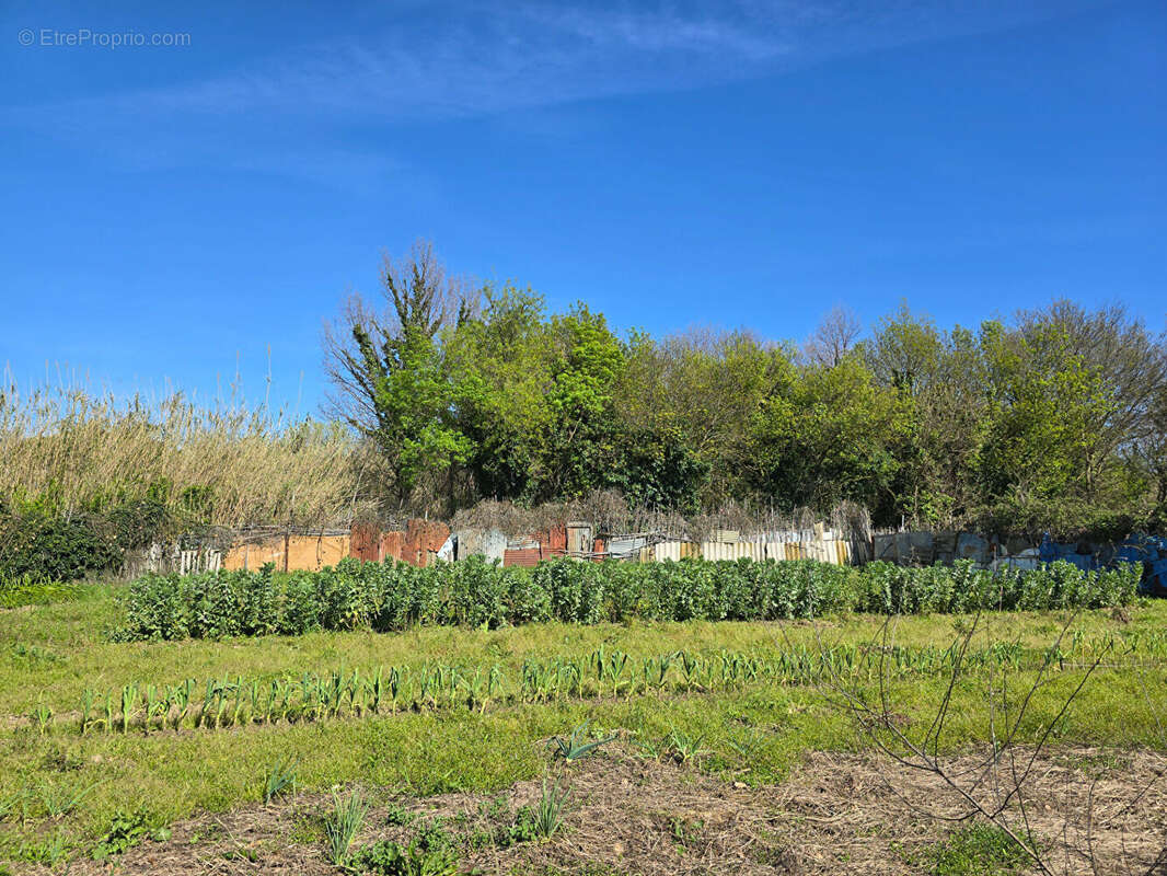 Terrain à ARGELES-SUR-MER
