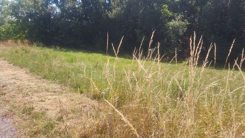 Terrain à vendre de 816,00 m² MASCLAT (46) - photo 2