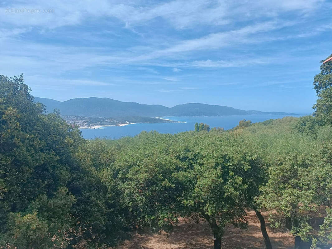 Propriété Exceptionnelle en Corse au bord du Golfe du Valinco - photo 10