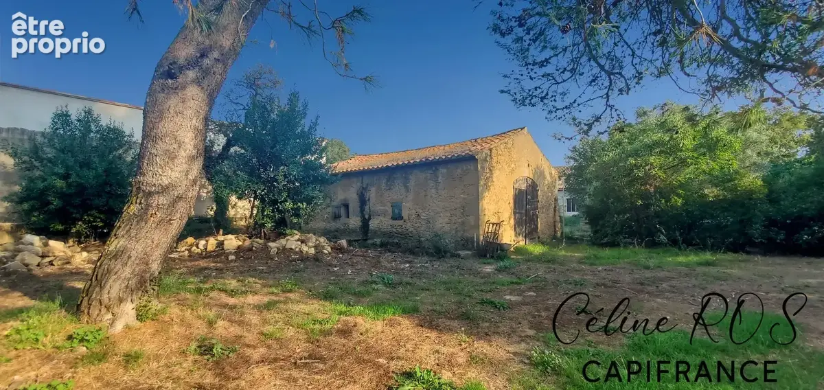 Belle demeure en pierre de 228 m² – 2 615 m² de terrain – dépendances – un potentiel exceptionnel - photo 10