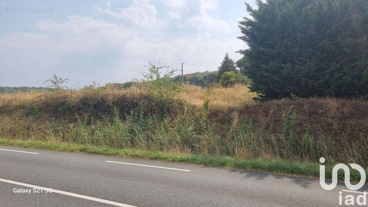 Photo 5 - Terrain à ALBI