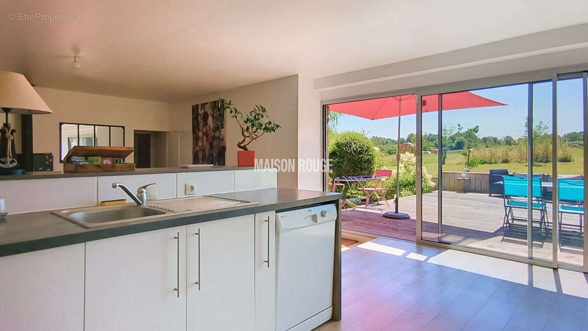 Propriété en pierres avec 4 hectares de terrain, dépendances , vie de plain pied, au calme - photo 6