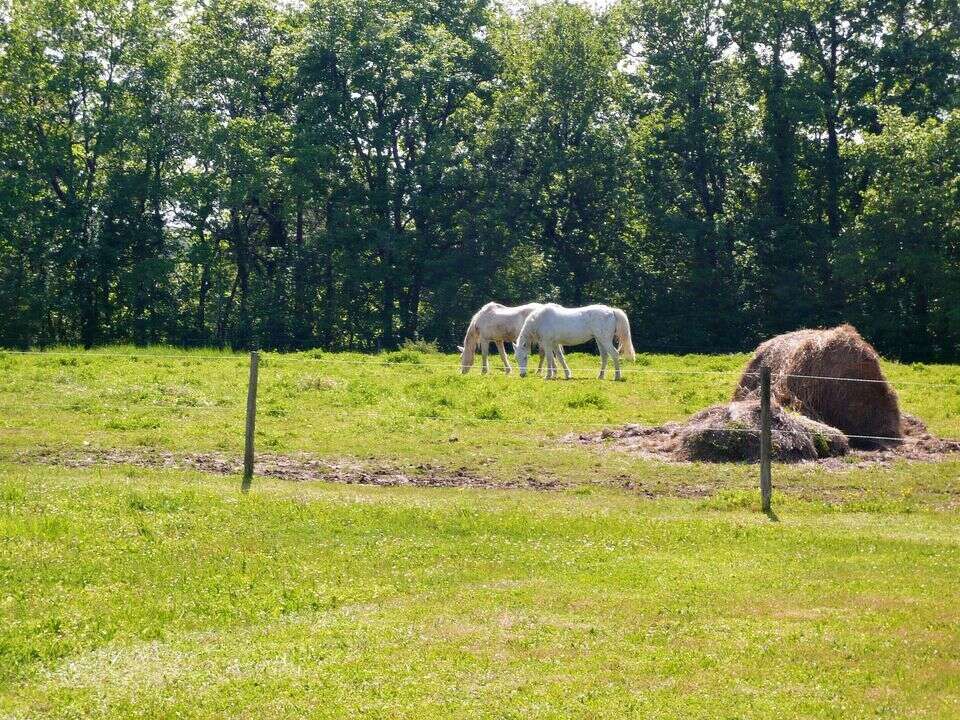 Maison à SAINT-MICHEL-DE-MONTAIGNE
