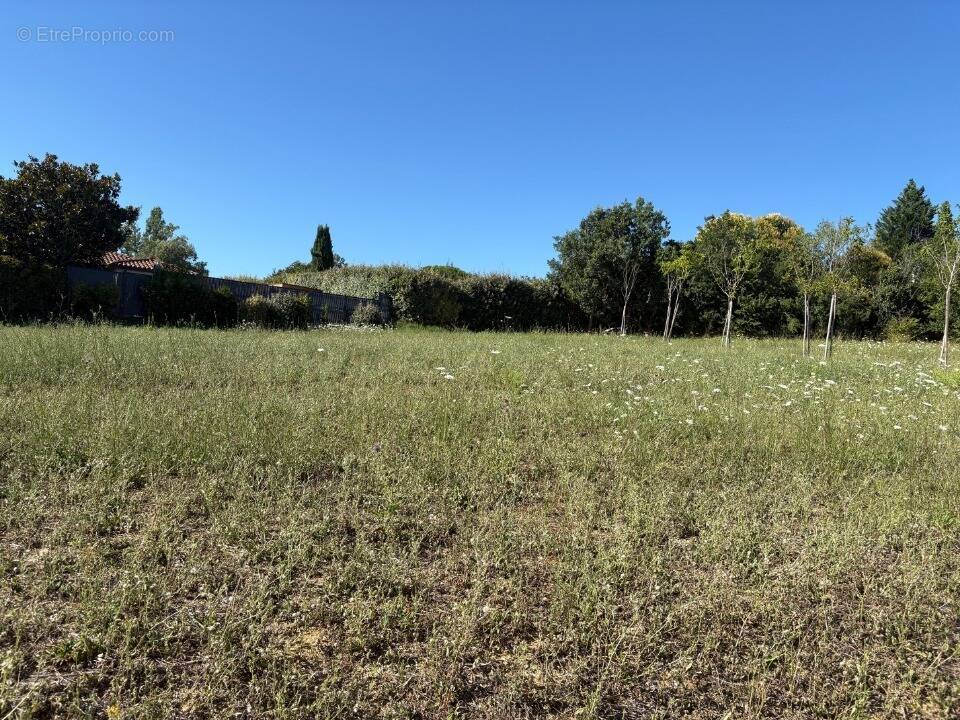 Terrain à CEPET