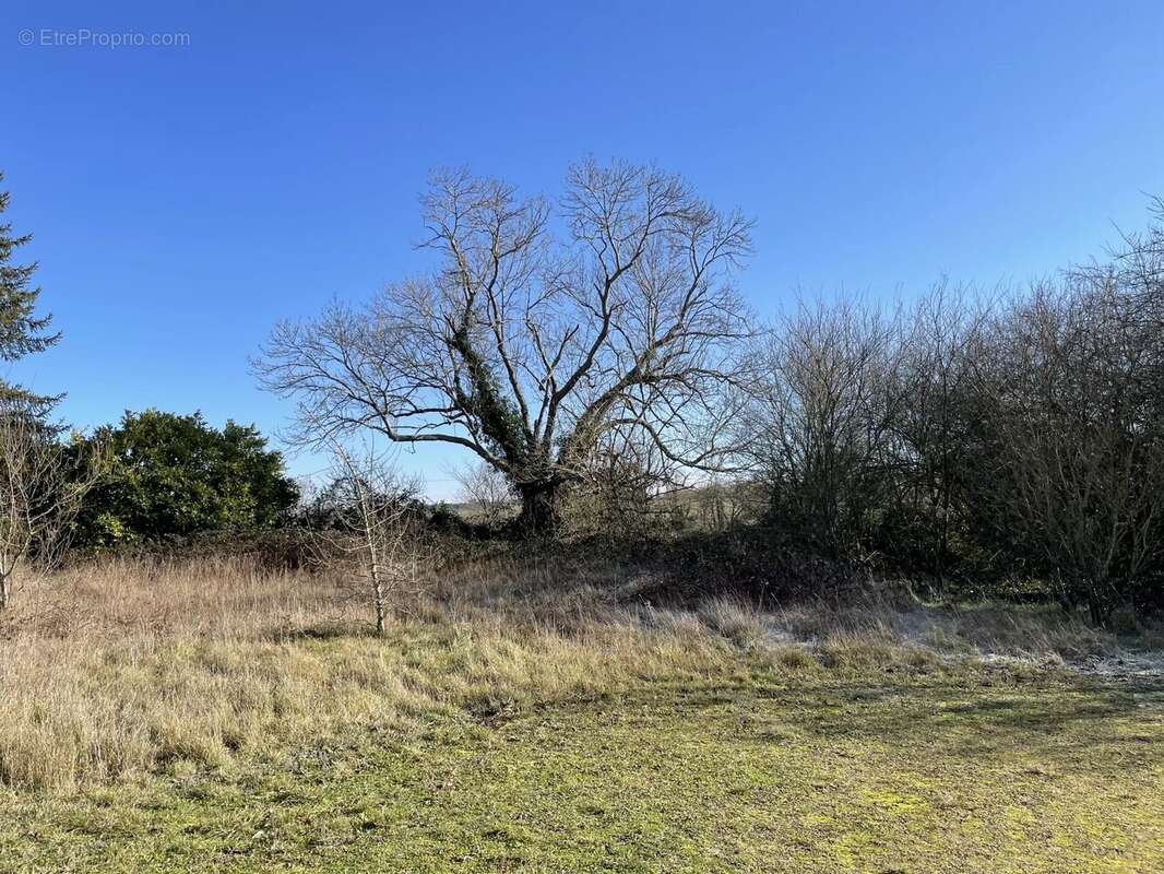 Terrain à VERTEILLAC
