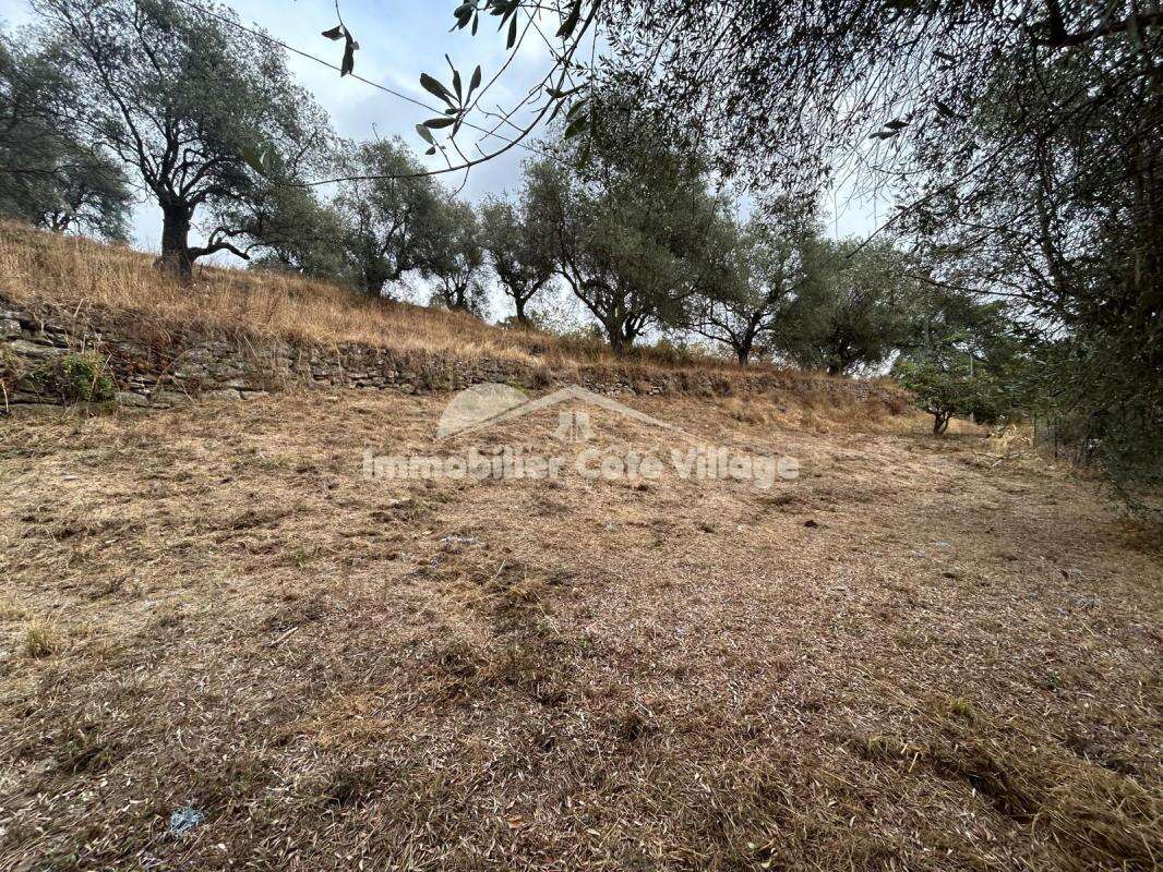 Terrain à BERRE-LES-ALPES