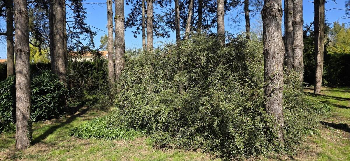 Terrain à MIGNALOUX-BEAUVOIR