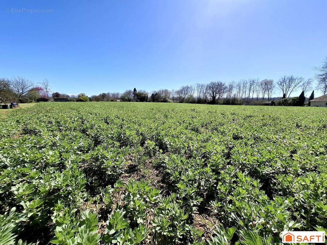 Photo 2 - Terrain à NAVARRENX