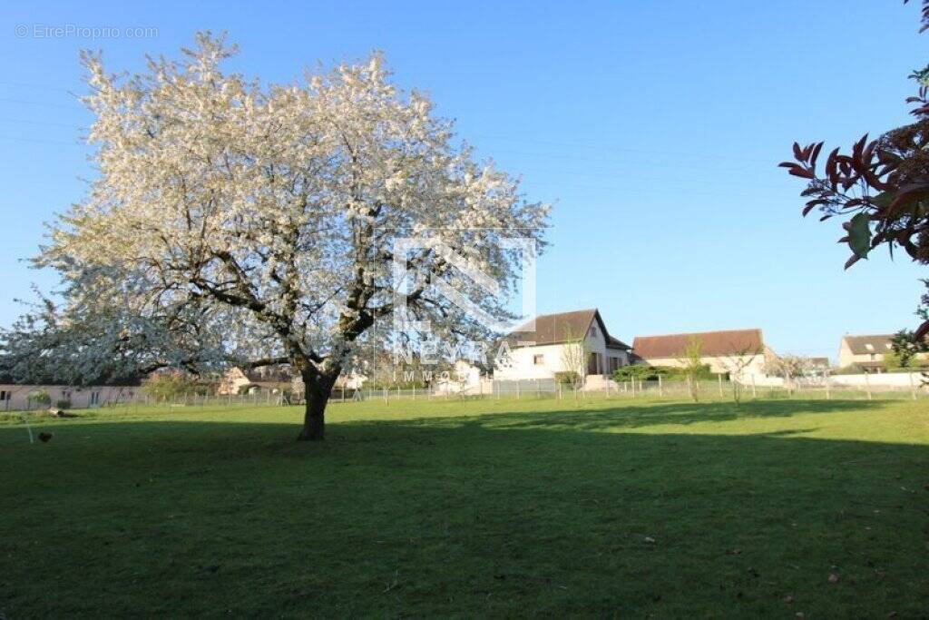 Terrain à VARENNES-LE-GRAND
