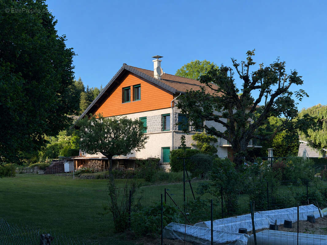 Chambon sur Lignon maison d'habitation sur 1860 m2 de terrain vue Mezenc - photo 2