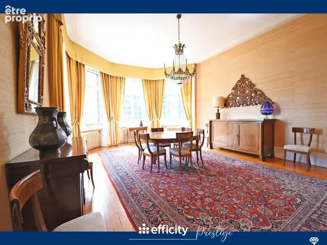 Maison 16 pièces 450 m² à vendre à Chazelles-Sur-Lyon (42140) - photo 11