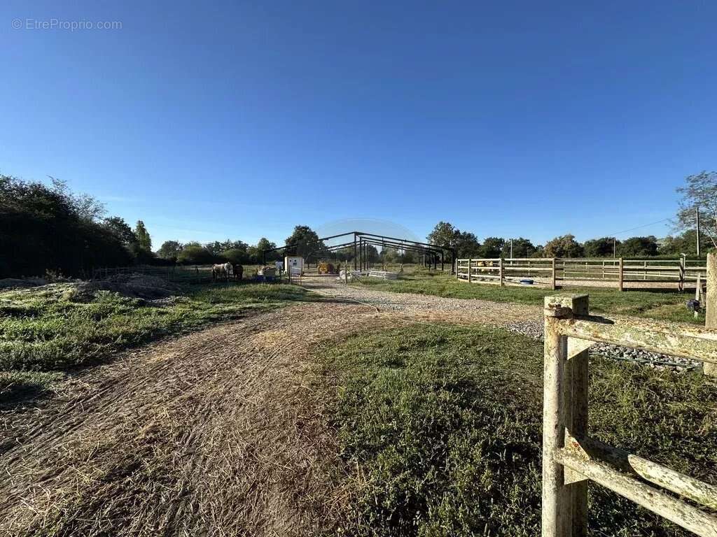 Maison à VILLECOMTAL-SUR-ARROS