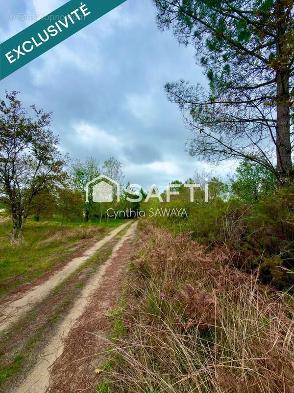 Photo 3 - Terrain à GUJAN-MESTRAS