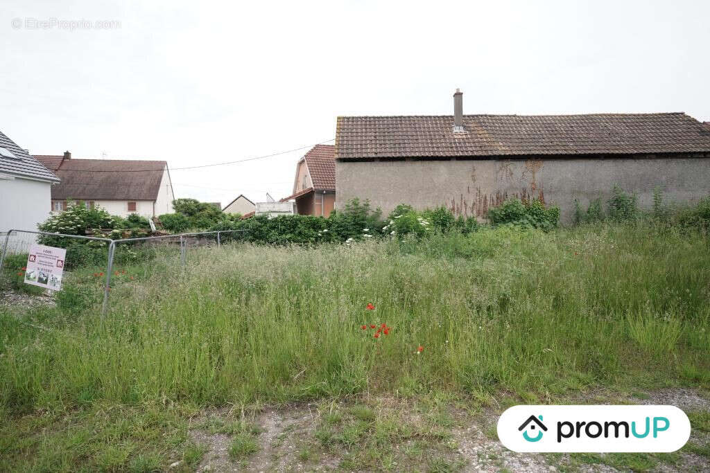 Terrain à HIRTZFELDEN