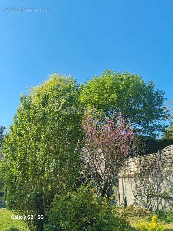 Maison à SAINT-ETIENNE-DE-MONTLUC