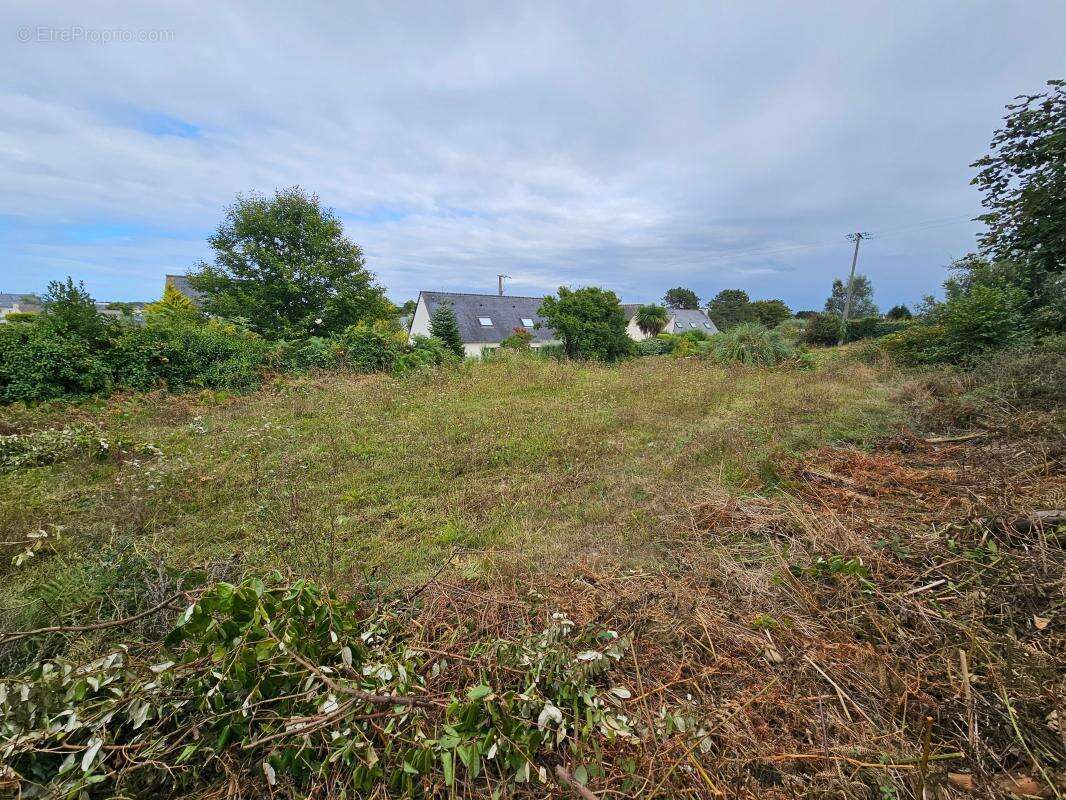 Terrain à TREBEURDEN