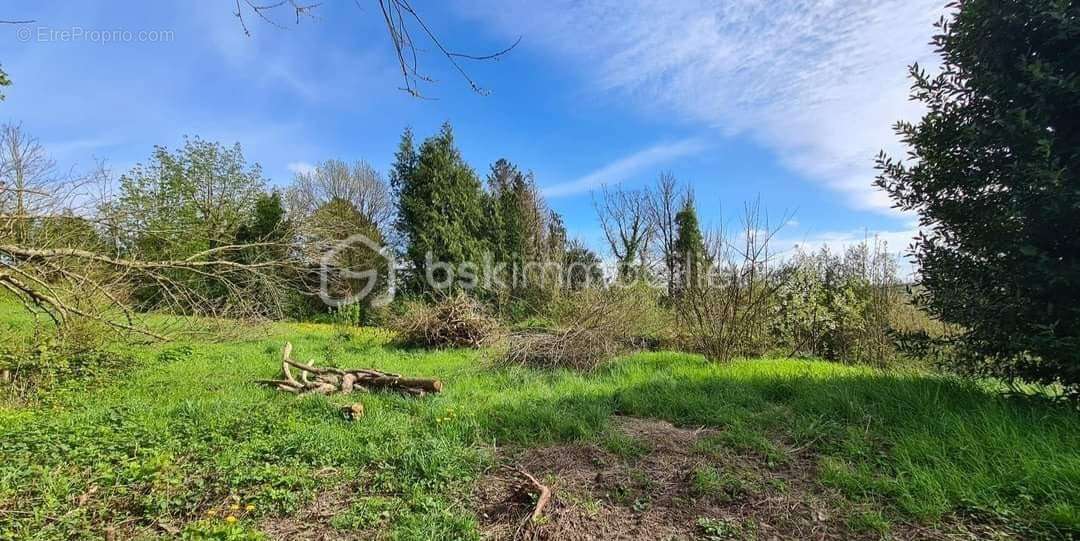 Terrain à MARLES-SUR-CANCHE