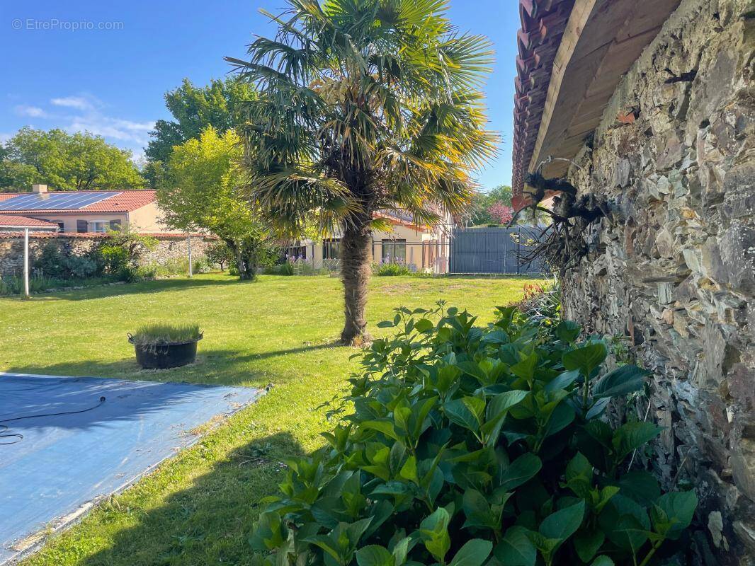 Maison à SAINT-DENIS-LA-CHEVASSE