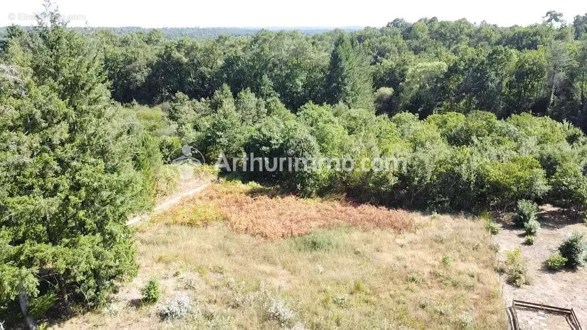 Terrain à bâtir 2921 m² - photo 6