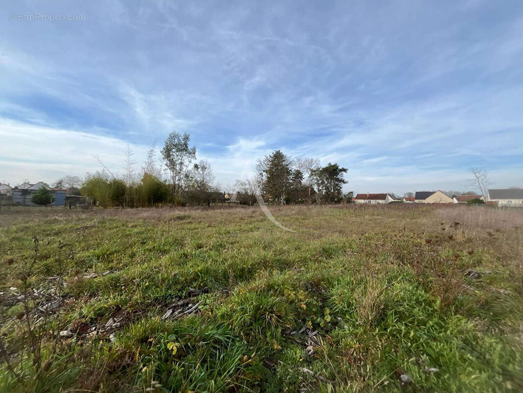 Terrain à LES MONTILS