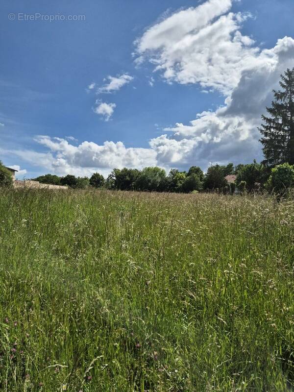 Terrain à CHAMPNIERS