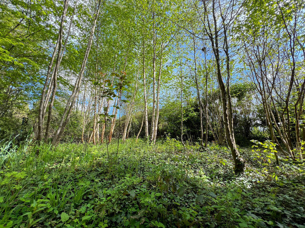 Maison à TINCHEBRAY