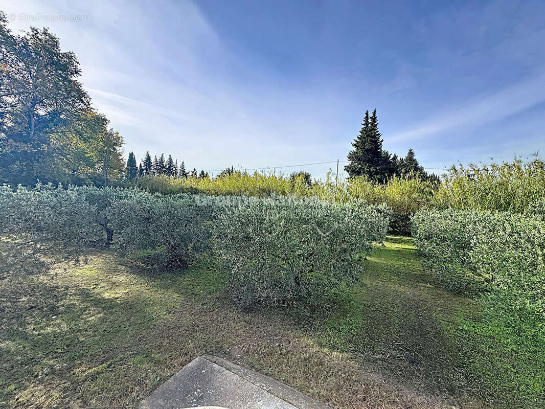 Maison à CHEVAL-BLANC