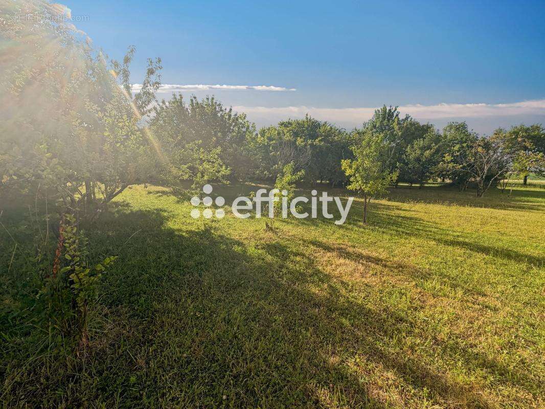 Terrain 1522 m² à Montils  - photo 2