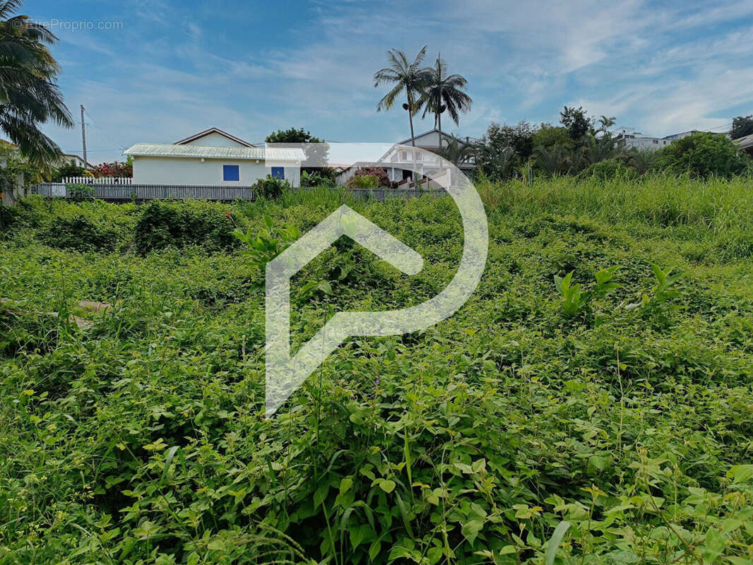 Terrain à LE TAMPON