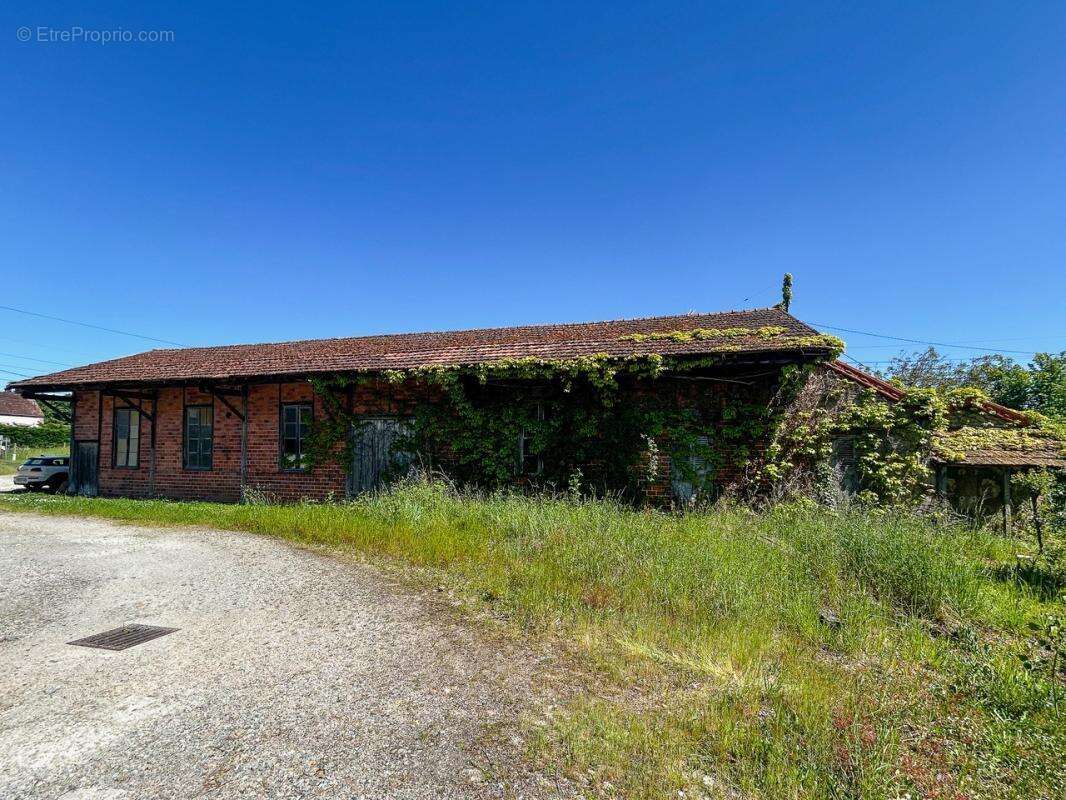 Entrepôt Châtres Sur Cher 1080 m2 - photo 6