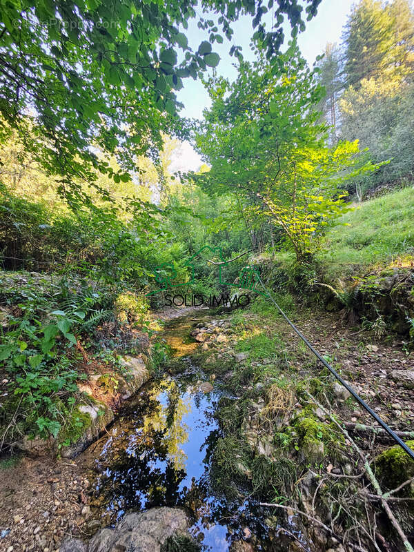 Charmante maison avec piscine dans un écrin de verdure - photo 22